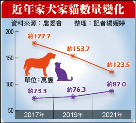 台灣養寵物比例2023|貓奴必看！台灣養貓數10年增1.88倍 農委會首推貓咪。